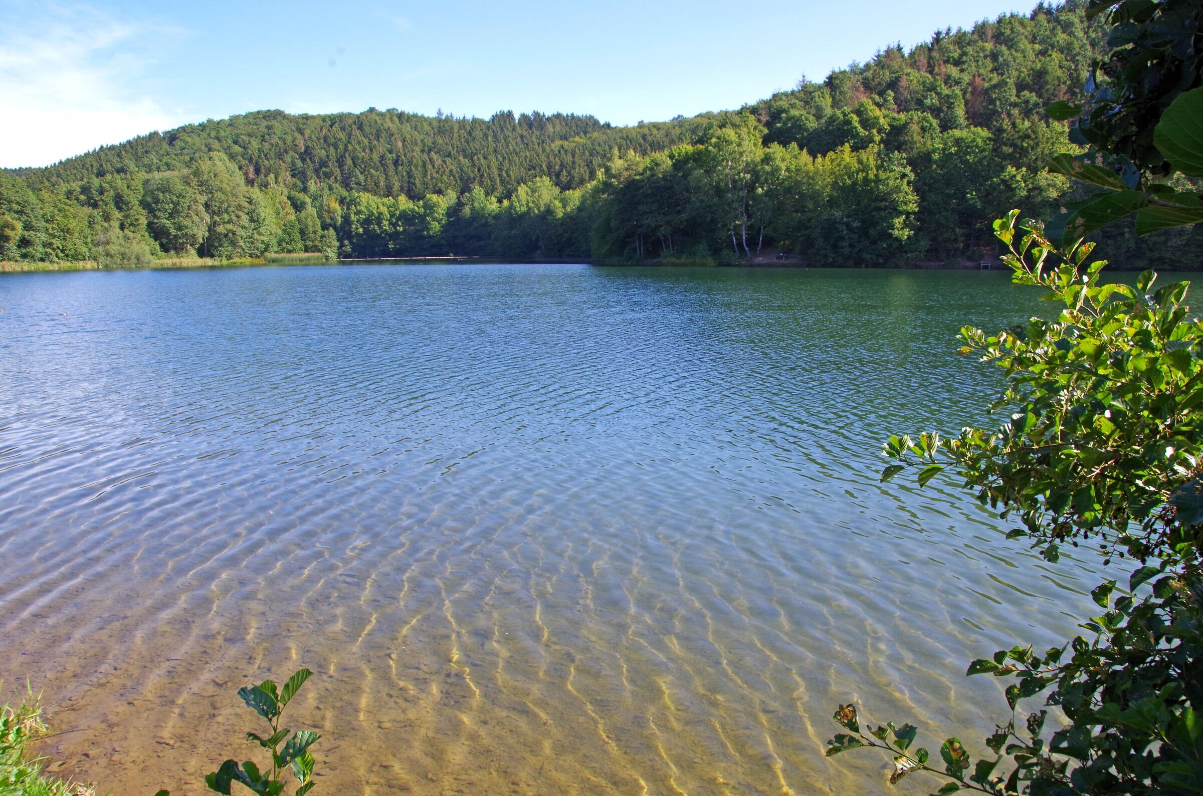 Klares Wasser am Ufer des Freilinger Sees, dahinter bewaldete Hügel